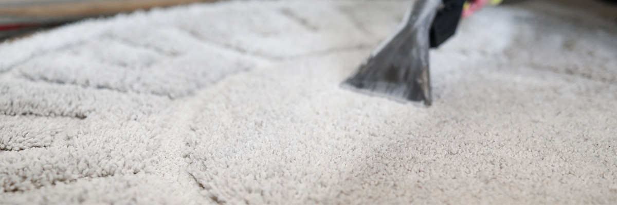 dortyol sistemli hali yikama fabrikasi hatay hali yikama profesyonel hali koltuk yatak yikama ev ofis otel cami halisi yikama yerinde hali yikama otomatik makine ile kaliteli hizli uygun fiyatlarla hali yerinde yikama